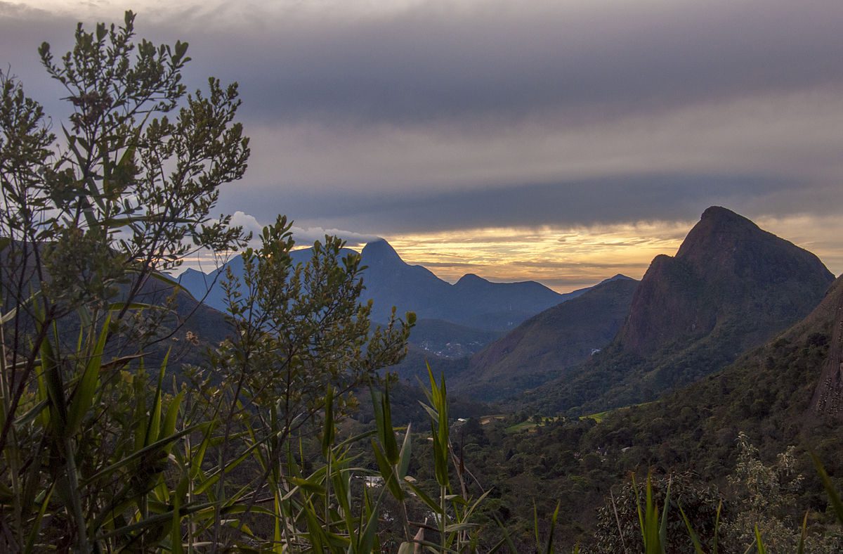 Foto de uma paisagem, no primeiro plano algumas plantas e no fundo montanhas do PARNASO